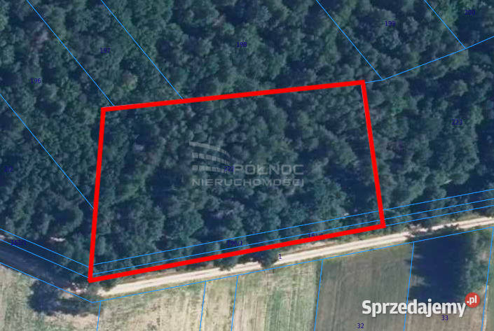 Las 6500m2 w Marysin gmina Rejowiec sprzedam