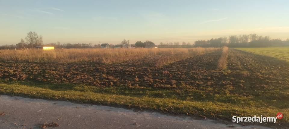 MPZP Niwki ladna drodze asfaltowej Zwoleń sprzedam