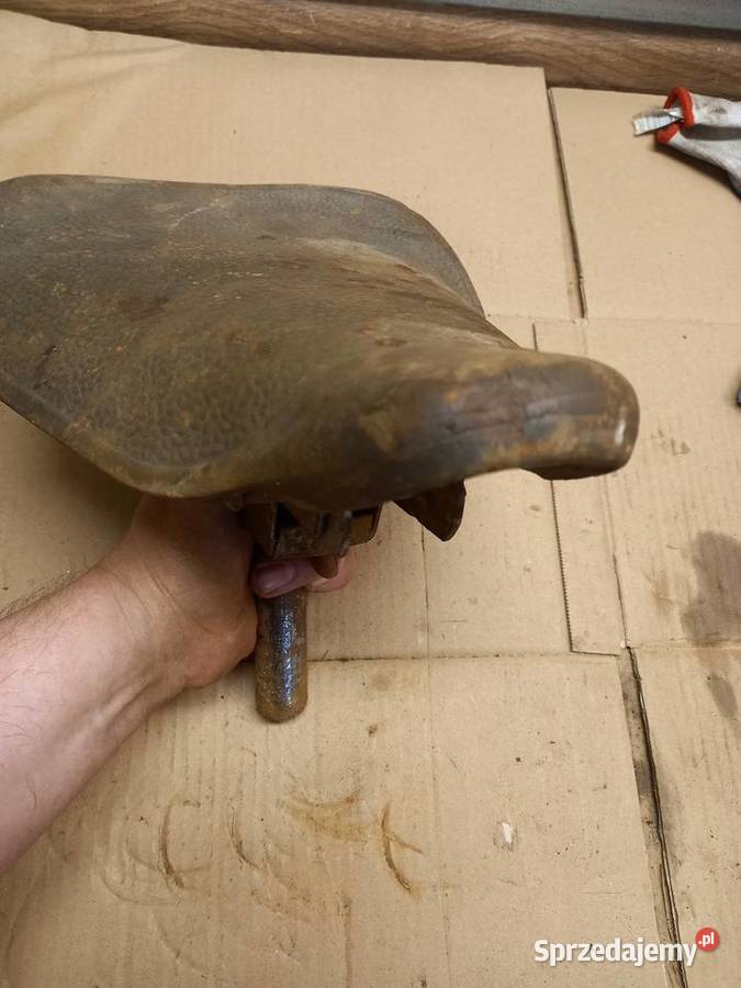 Siedzenie komar sztywniak mazowieckie Sokołów Podlaski