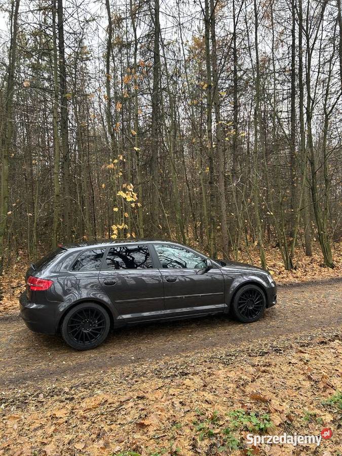 Audi A3 8p 18 TFSI Dzierzkowice-Wola