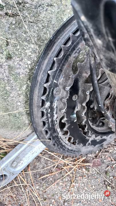 Rama Rowerowa Rower Męski Calvin CA605 Alu 7005 Wołów