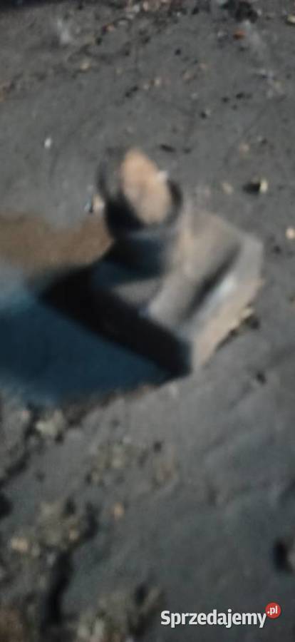 Zabytkowe butelki i porcelana