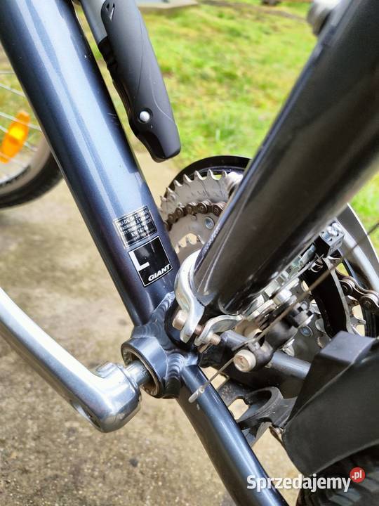 Rower Giant Sedona Jabłonowo Pomorskie