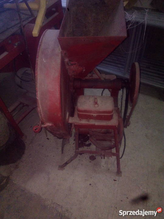 Buraczarka elektryczna Pruchnik