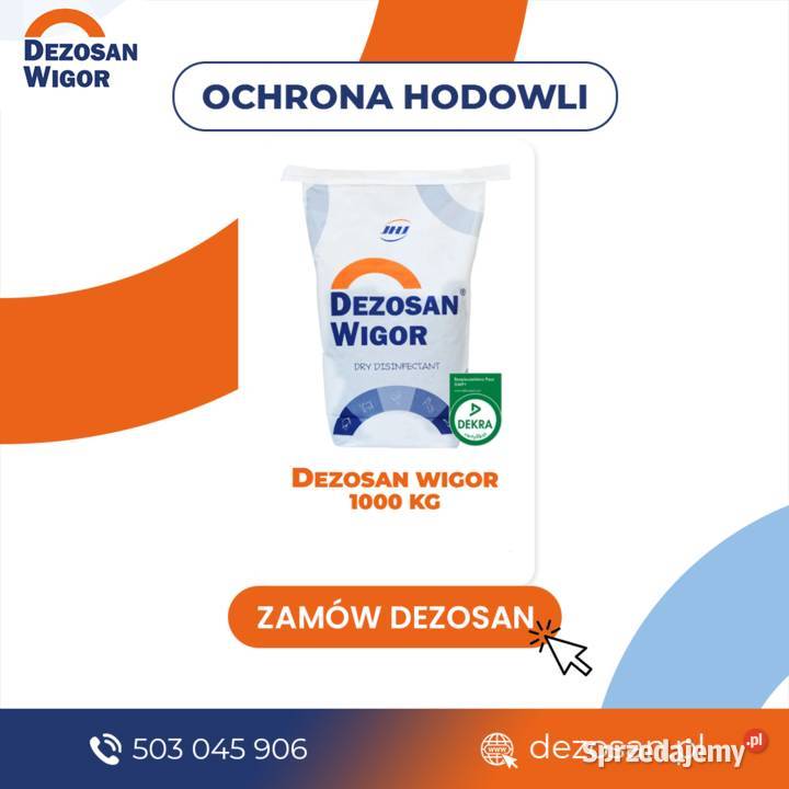 Dezosan 1000 sucha dezynfekcja w hodowli bydła Trzebnica