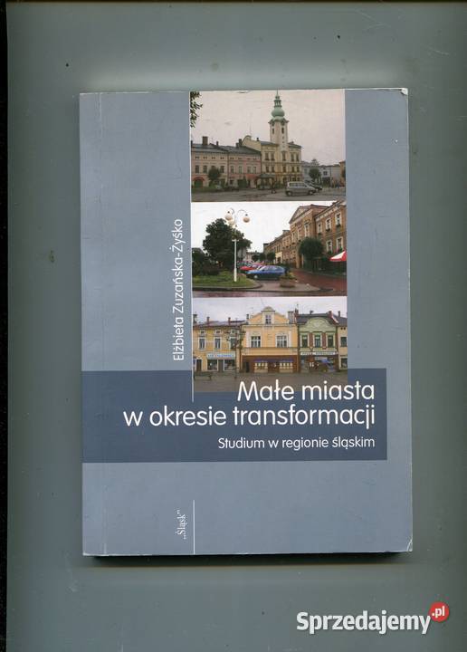 Małe miasta w okresie transformacji w regionie Pozostałe Szczecin