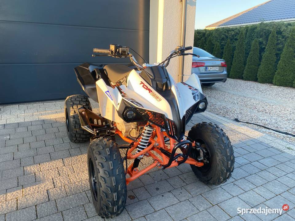 Quad 250 nieuszkodzony