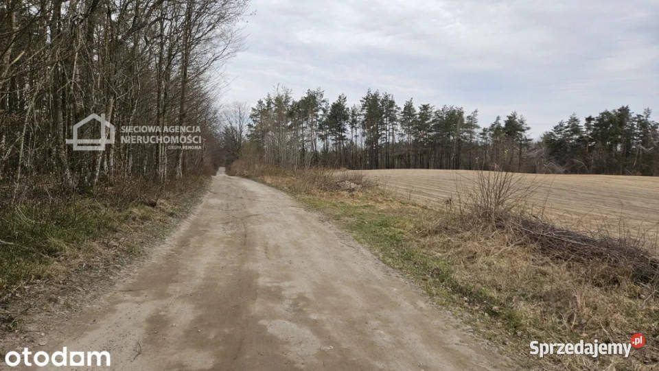 sprzedaży działki 19409m2 Michalin