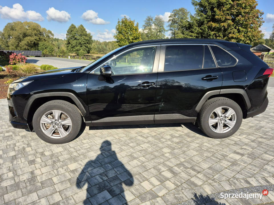 Toyota RAV4 25 hybryd Business Edition KAMERA światła LED Drelów