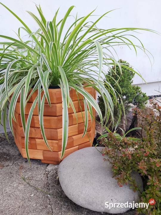 Donica drewniana sosnowa OŚMIOKĄTNA Kalety