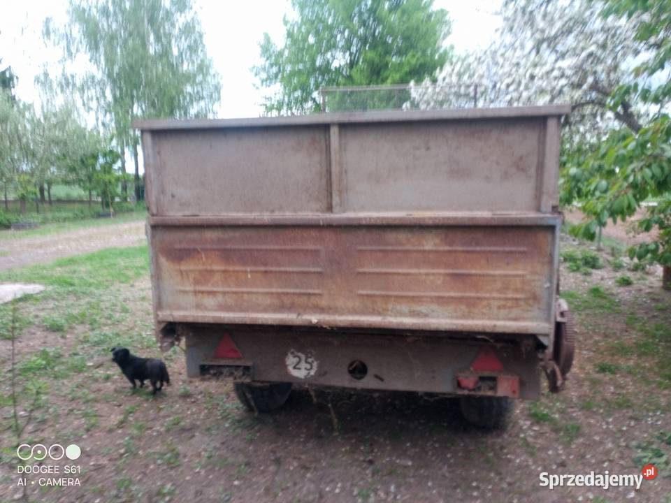 Rozrzutnik 1 Osiowy Sprawny Nawożenie Trzebieszów Pierwszy