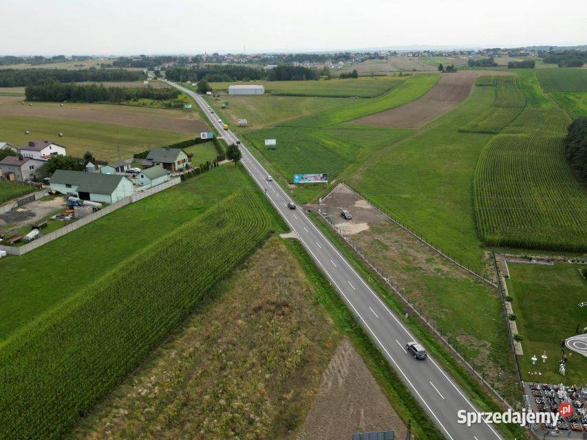 Działka Lisia Góra 19 arów pod wynajem