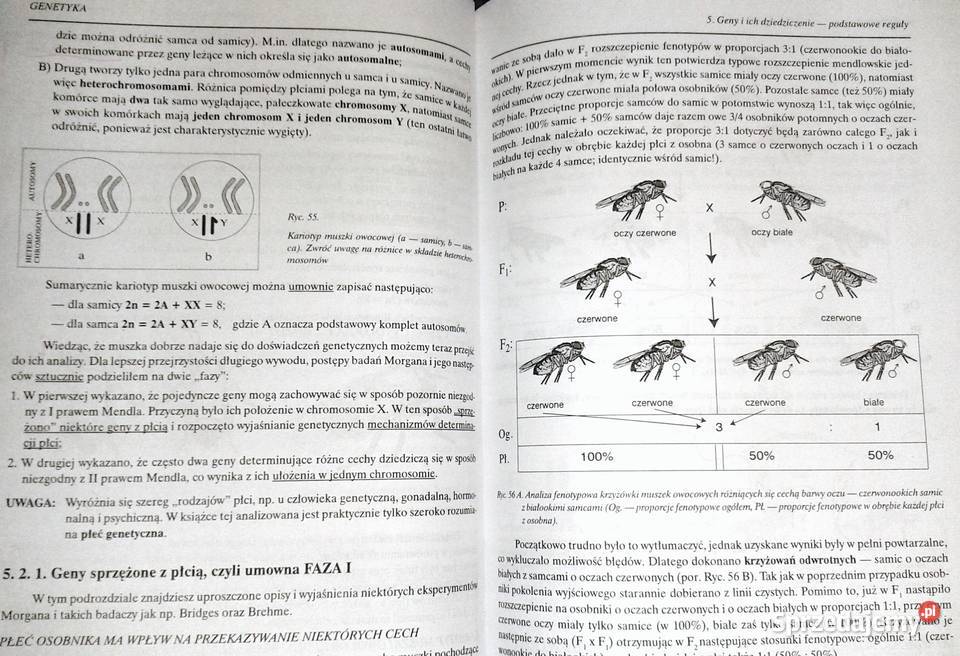 Biologia Genetyka Waldemar Lewinski sprzedam
