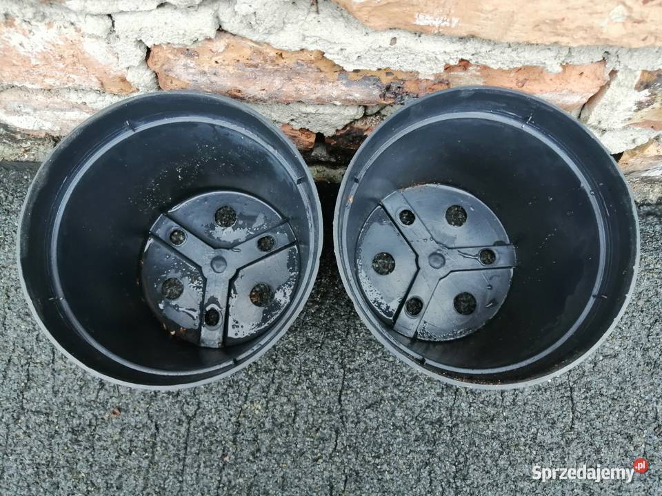 Doniczki produkcyjne 2 litry NOWE 2L 16 okrągłe Siewierz