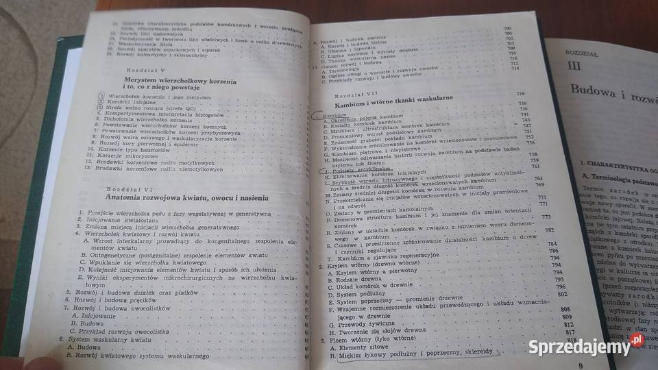 Anatomia i histogeneza roślin naczyniowych 12 Książki i Podręczniki pomorskie Gdańsk