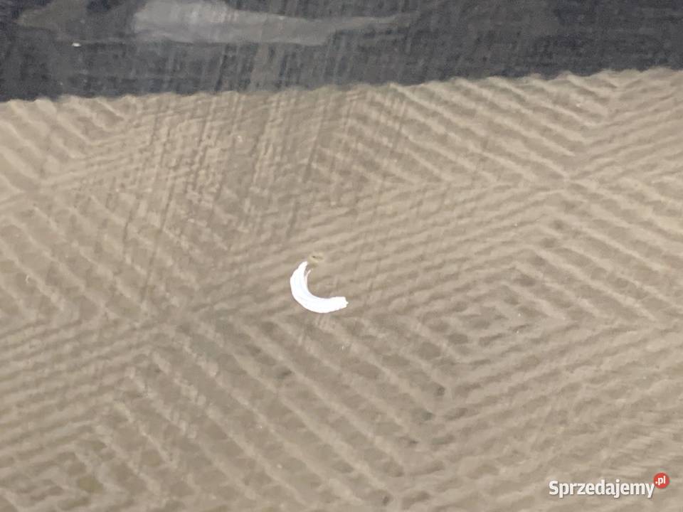 DRZWI LEWY PRZÓD SUZUKI SWIFT III Hatchback