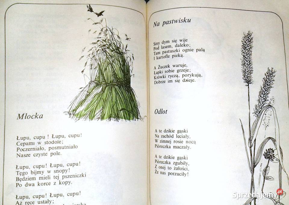 Co słonko widziało Maria Konopnicka Pozostałe Chełm