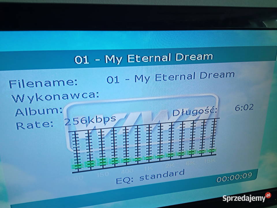 WIWA HD228U bez kabla zasilającego i pilota Poznań