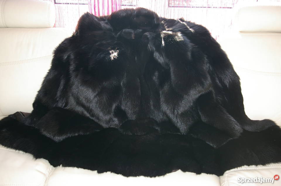 FUTRO Z LISA CZARNEGO podlaskie Białystok