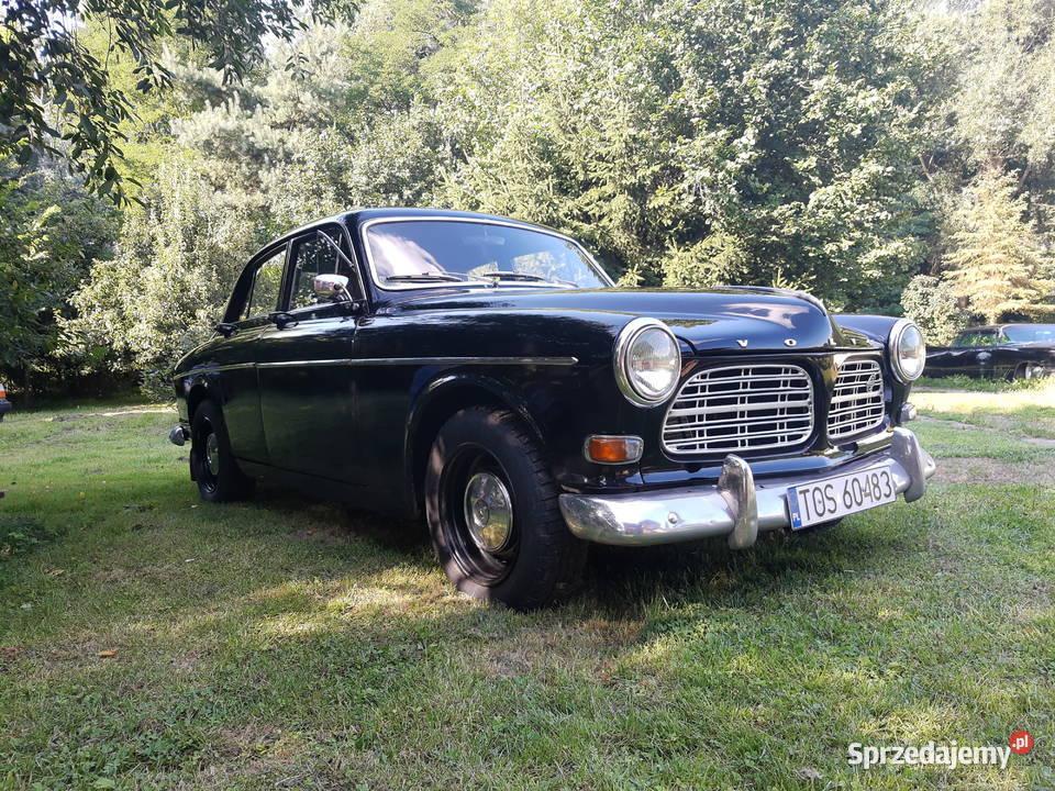 Volvo Amazon 1965r 18 Rok produkcji 1965 Kunów sprzedam