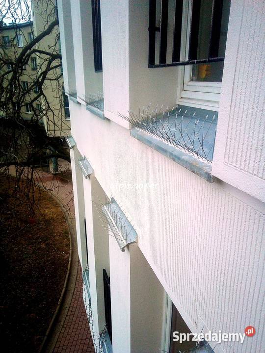 Montaż kolców na gołębie Warszawa Montaż Siatki