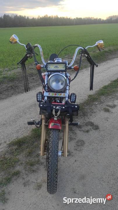 Mini choper 50cc 50cm3 mazowieckie Tymienica Nowa