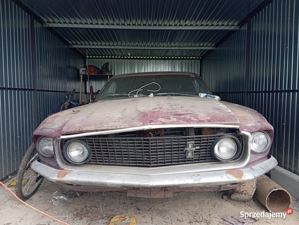 Mustang fastback 1969 podkarpackie Tuszów Narodowy