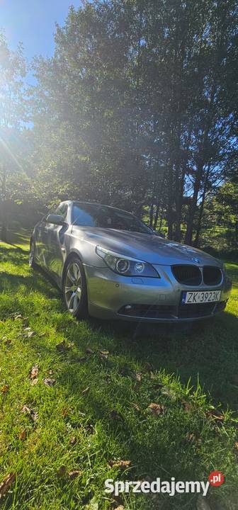 Bmw e60 535d Rok produkcji 2005 Motoryzacja Koszalin sprzedam
