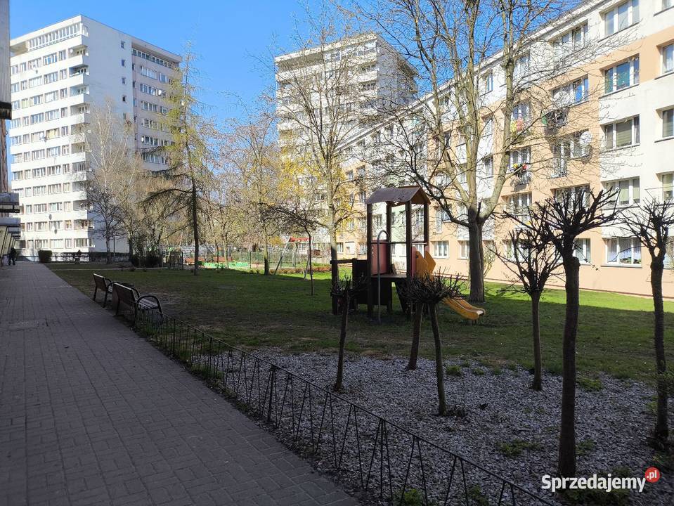 2 pokoje na Niebuszewie 464m2 wysoki parter Szczecin