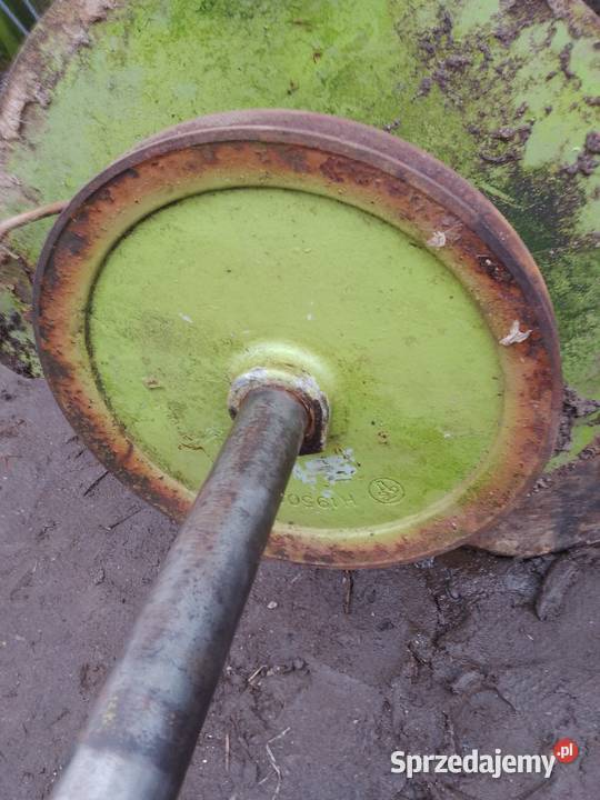 Koło pasowe Claas kujawsko-pomorskie Rypin