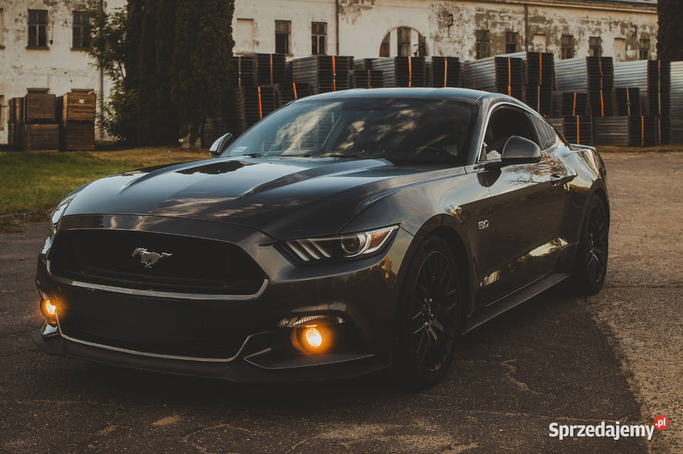 Wynajem Wypożyczalnia Samochodów Ford Mustang GT Warszawa