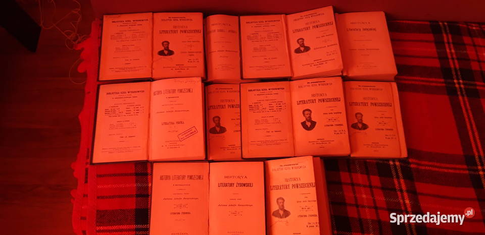 ŚWIĘCICKI HistoryaLiter Pow z Ilustr17Wa190110 Iwno sprzedam