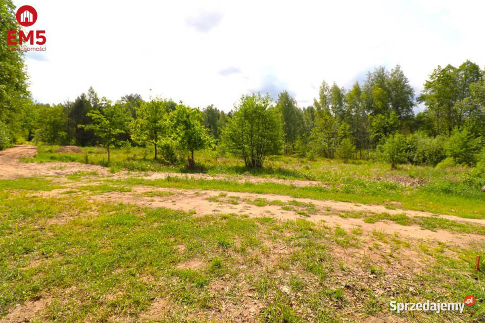 Ogłoszenie grunt Płaska 1420m2 sprzedam