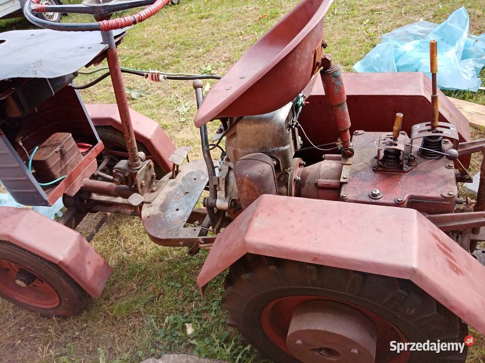 Sprzedam dzik 21 Przeworsk sprzedam