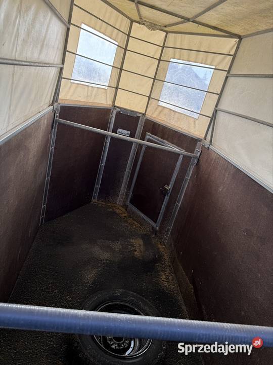 Boeckmann 1 konna przyczepa