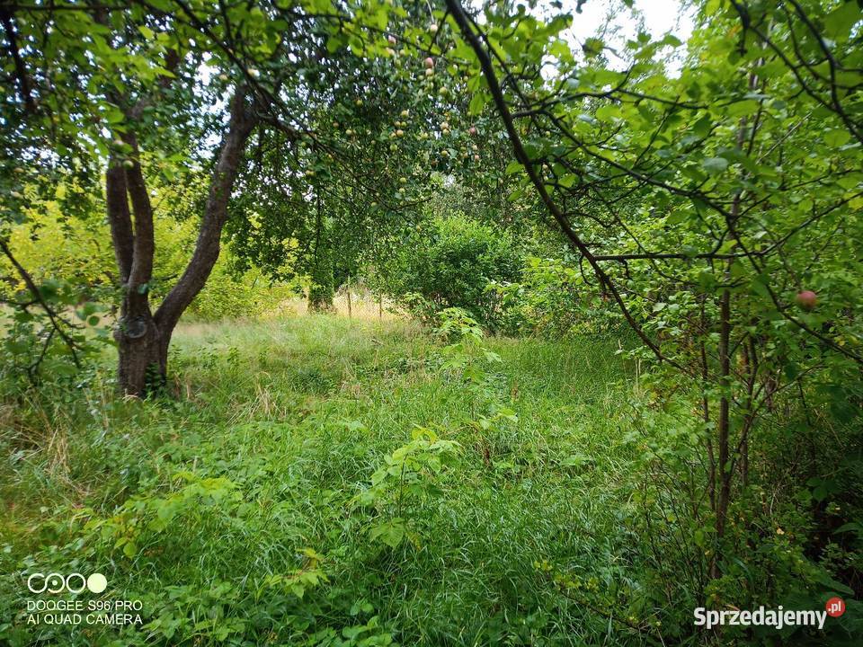 DZIAŁKA ROD WÓJTOWA ROLA OLSZTYN 50zł/m2 sprzedam