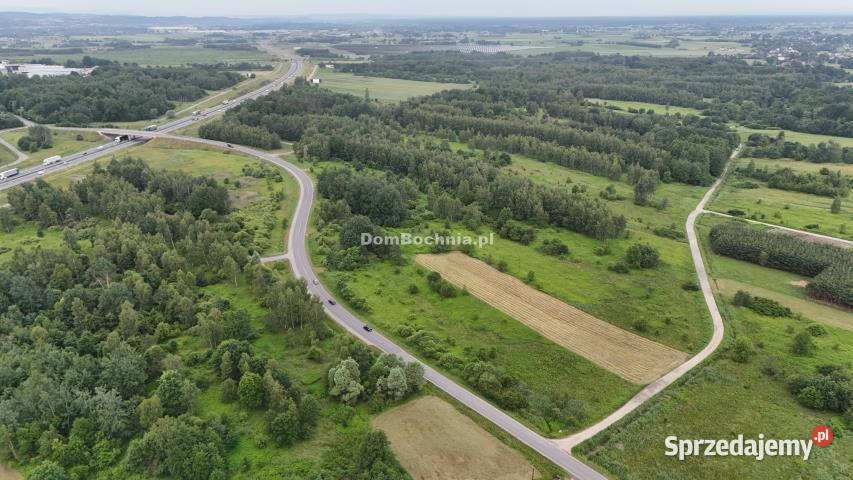 Działka Borek 4572m2 sprzedam