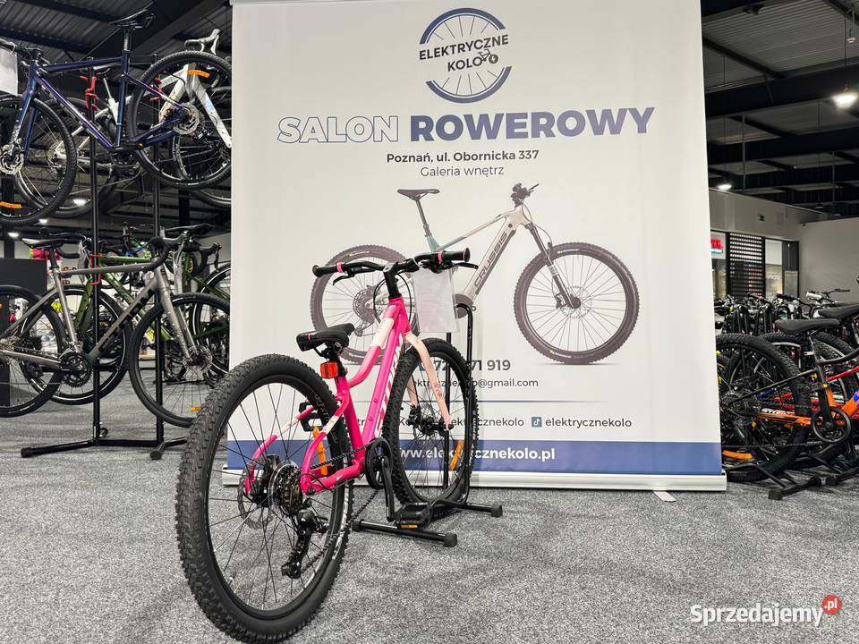 Rower dziecięcy STORM Bella 2 Rama 11 Raty 0 Poznań