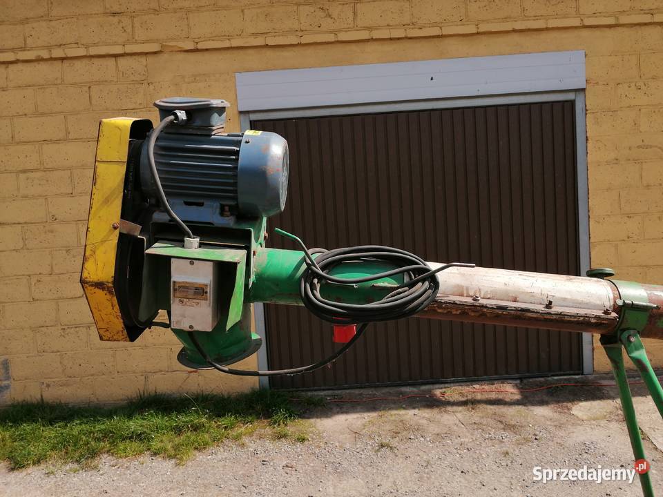 Żmijka do zboża 7m Silnik 11kW lubelskie Hrubieszów