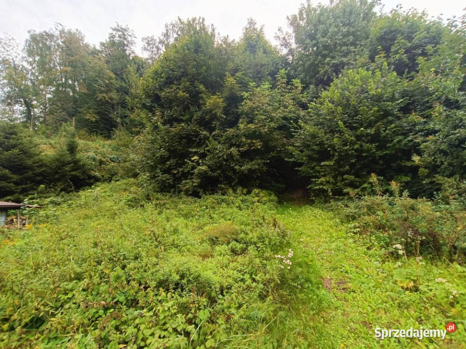 Nieruchomość gruntowa z zabudową Wierzchowiska lubelskie Wierzchowiska Pierwsze sprzedam