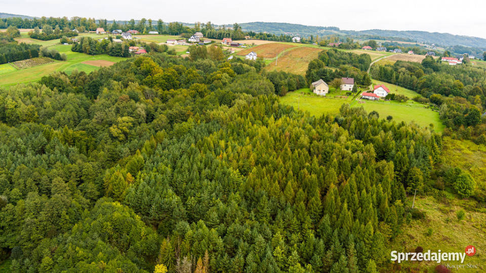 Na sprzedaż działka w Zalasowej rolna Sprzedaż małopolskie Zalasowa