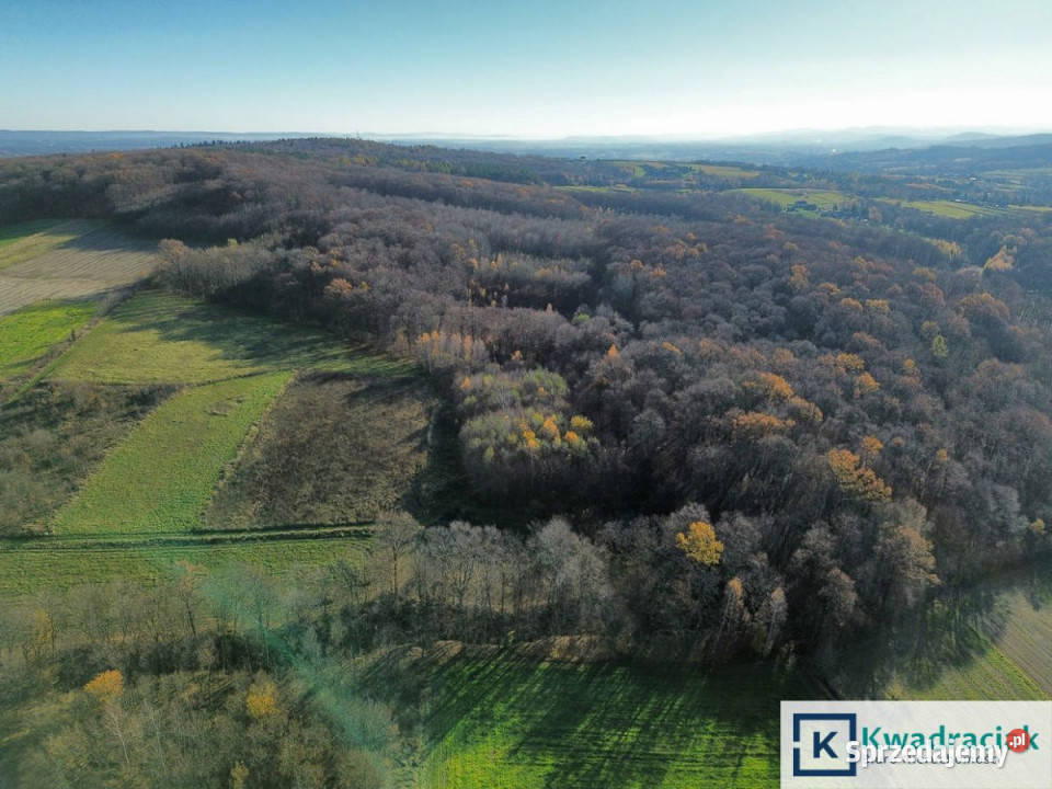 Ogłoszenie grunt Podniebyle 6100m2 6100m2