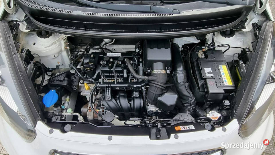 Kia Picanto Navi Kamera Super Stan GWARANCJA immobilizer Płońsk