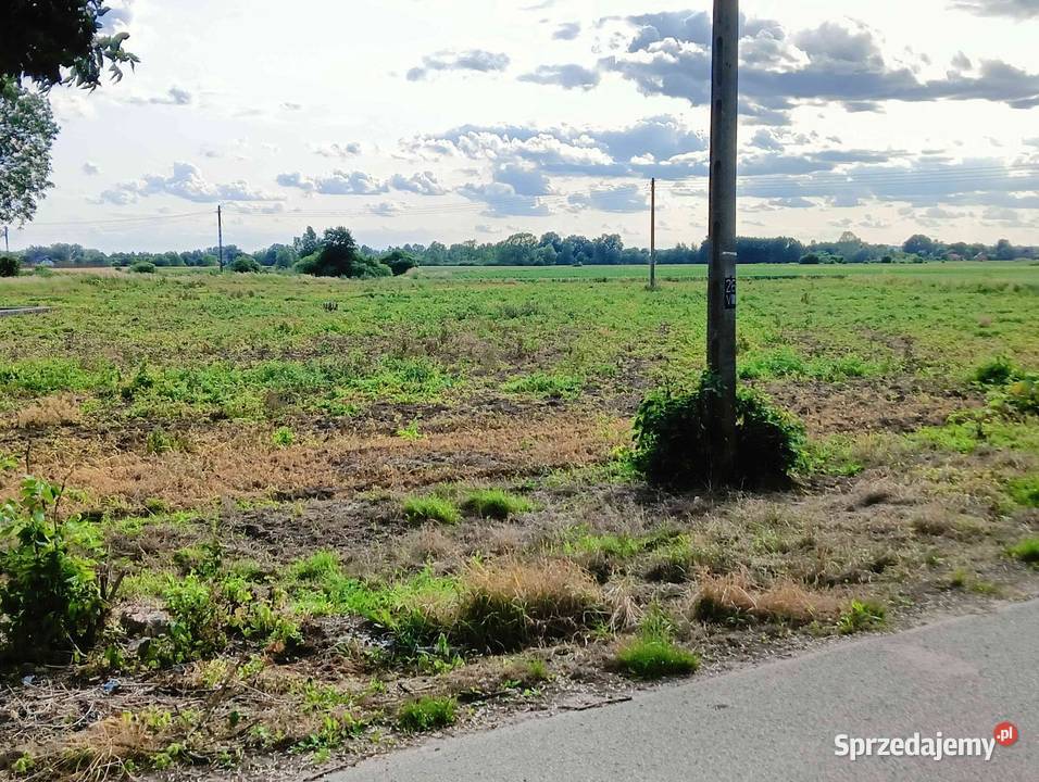 Działka rolna budowlana inwestycyjna Skowierzyn sprzedam