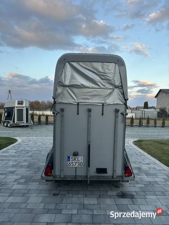 Przyczepa do przewozu 15 konia kąt B dmc 1300 Mokra