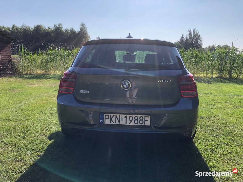 BMW F2021 116d 2013r Rychwał