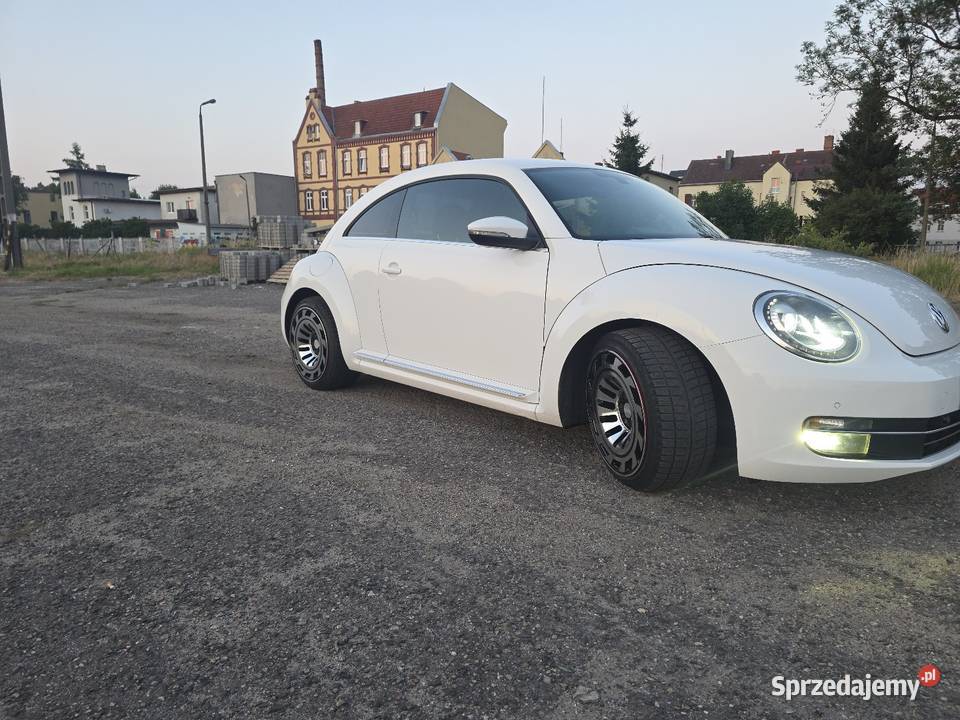 Beetle Gryfice