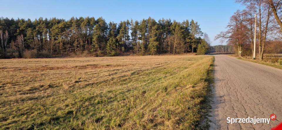 Sprzedam działkę budowlaną Stara Wieś gm Rząśnik budowlana sprzedam