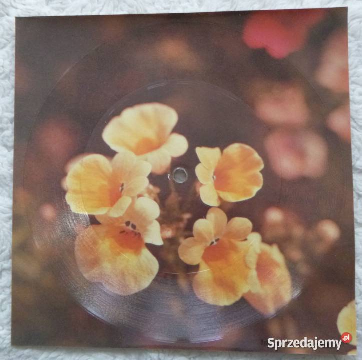 Pocztówka dźwiękowa 1980 Boney M My friend Jack Warszawa