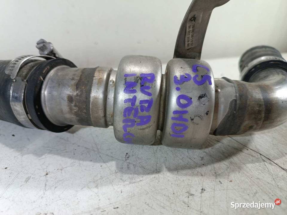 RURA DOLOT POWIETRZA CITROEN C5 III X7 30 HDI wielkopolskie